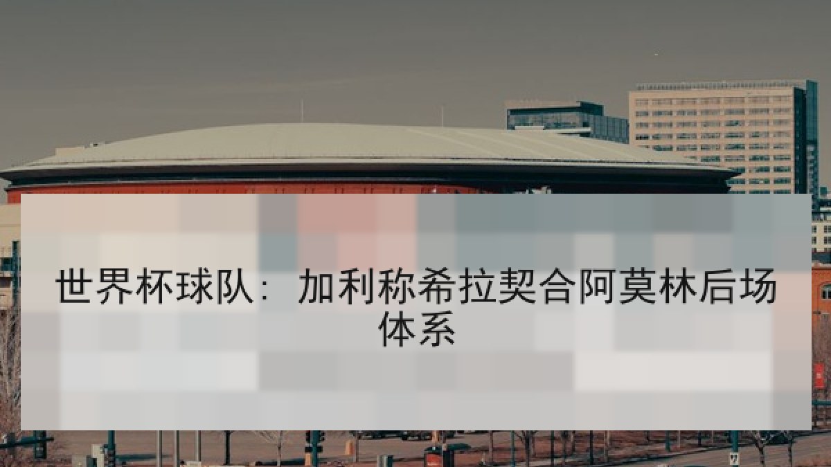 世界杯球队: 加利称希拉契合阿莫林后场体系