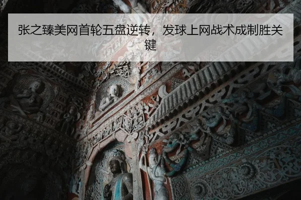 zhang-zhi-zhen-mei-wang-shou-lun-wu-pan-ni-zhuan-fa-qiu-shang-wang-zhan-shu-cheng-zhi-sheng-guan-jian-2-883.jpg