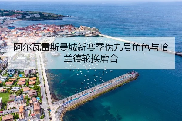 a-er-wa-lei-si-man-cheng-xin-sai-ji-wei-jiu-hao-jiao-se-yu-ha-lan-de-lun-huan-mo-he-3-470.jpg
