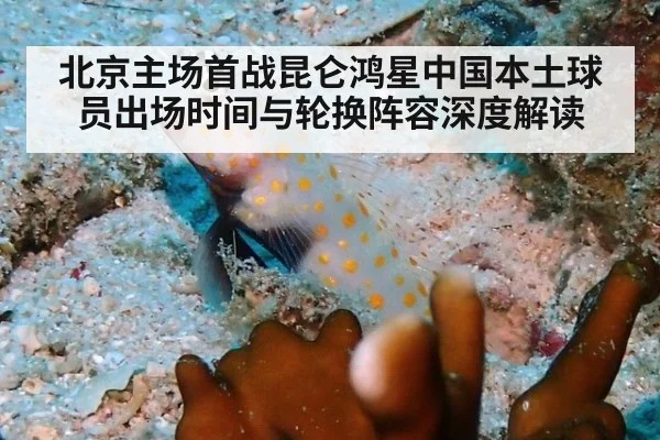 北京主场首战昆仑鸿星中国本土球员出场时间与轮换阵容深度解读