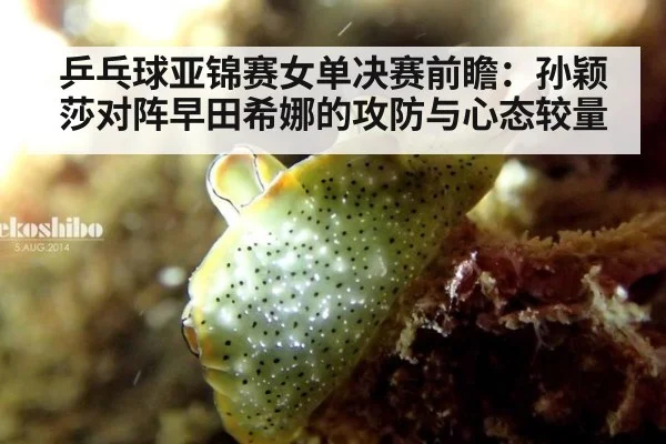 乒乓球亚锦赛女单决赛前瞻：孙颖莎对阵早田希娜的攻防与心态较量