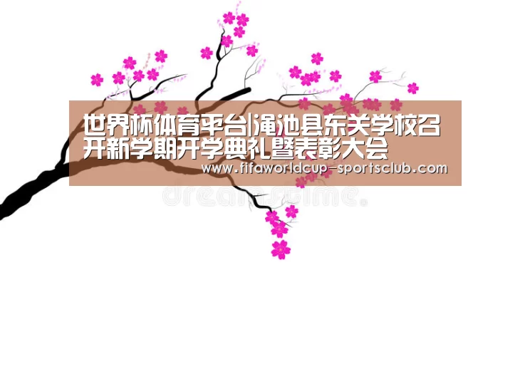 世界杯足球赛事