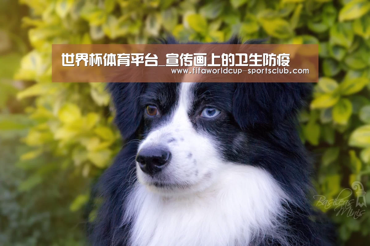 世界杯体育平台_宣传画上的卫生防疫