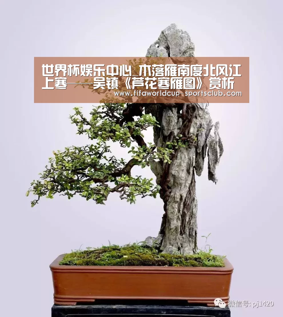世界杯实时比分