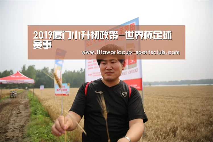 世界杯实时比分
